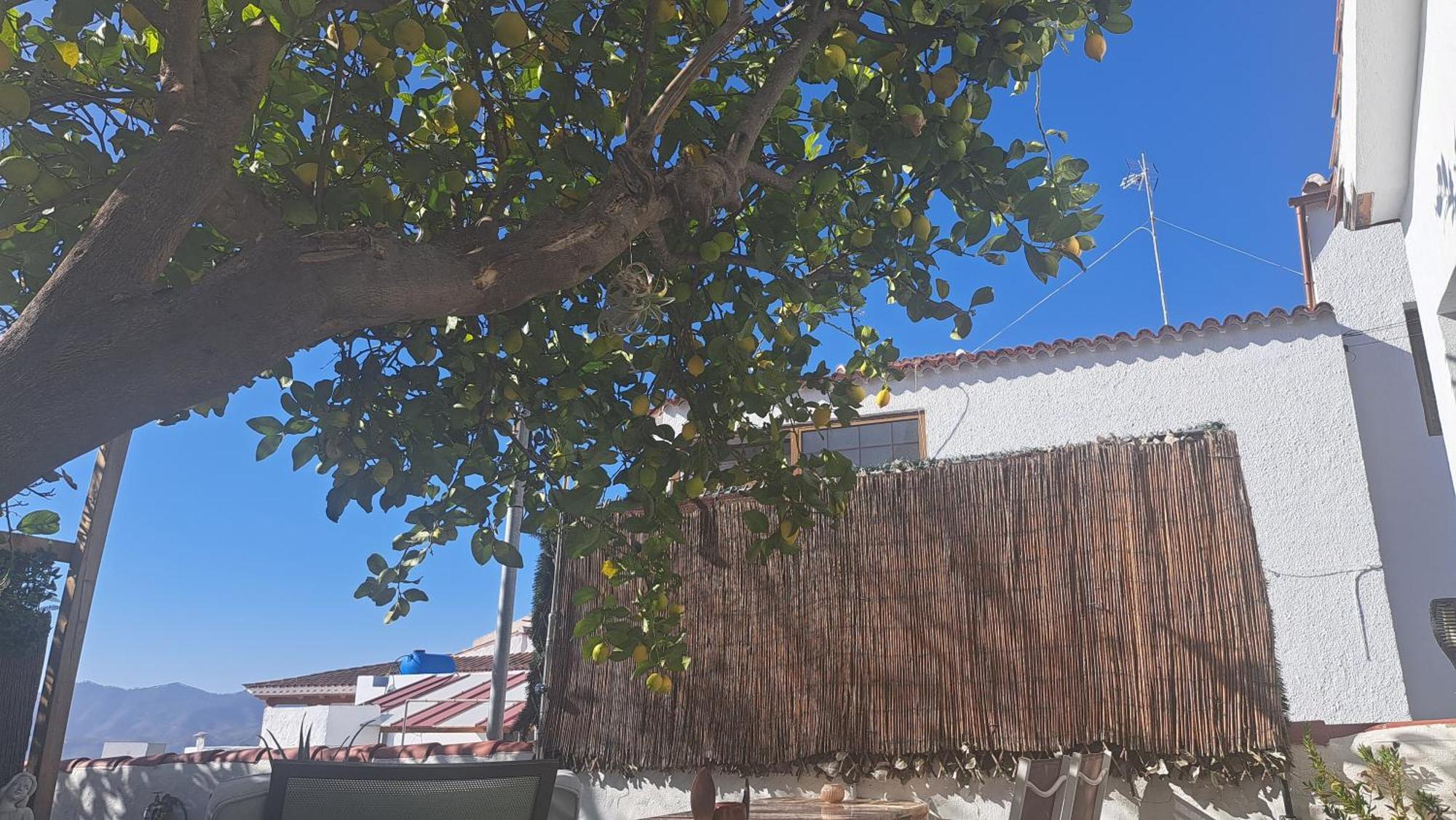 Гостевой дом Casa Santana Segura Крус-де-Техеда Номер фото