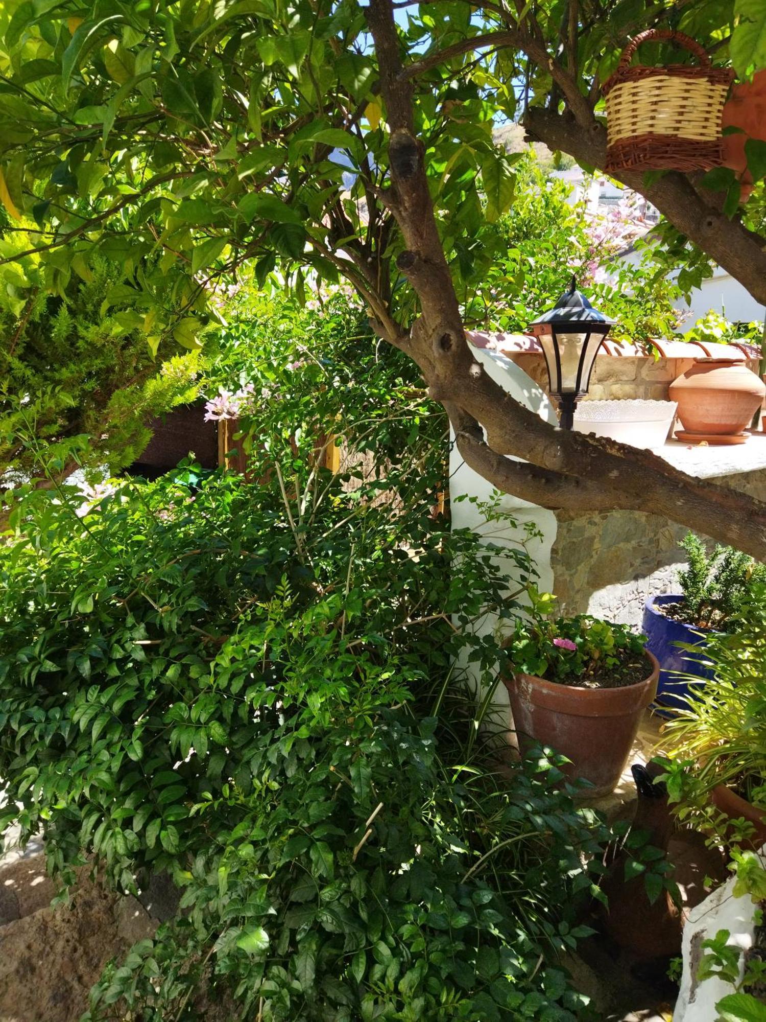 Гостевой дом Casa Santana Segura Крус-де-Техеда Номер фото