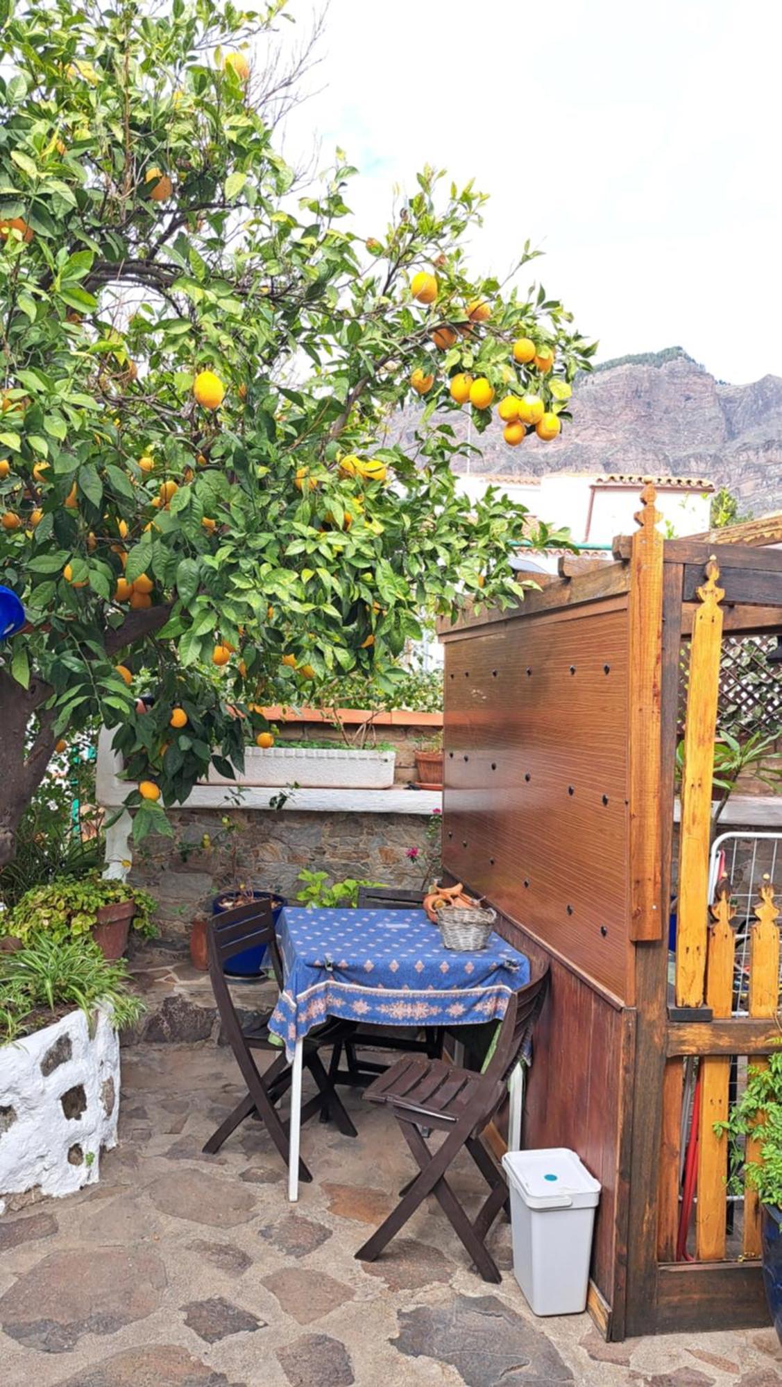 Гостевой дом Casa Santana Segura Крус-де-Техеда Номер фото
